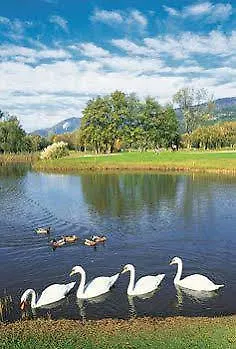 Versilia Golf 4*